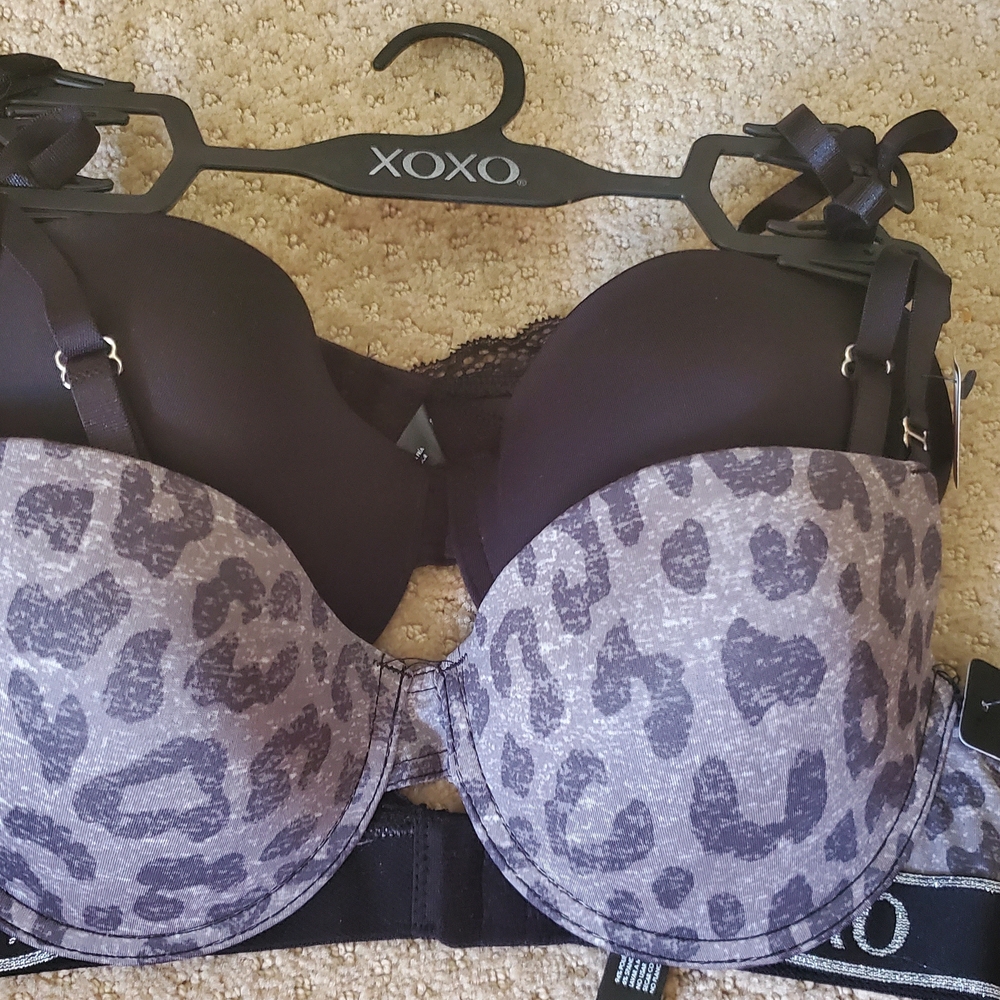 XOXO Women's Black Leopard Print Bra